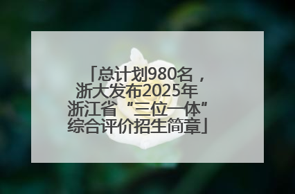 总计划980名，浙大发布2025年浙江省“三位一体”综合评价招生简章