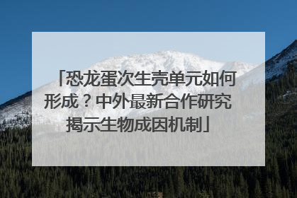 恐龙蛋次生壳单元如何形成？中外最新合作研究揭示生物成因机制
