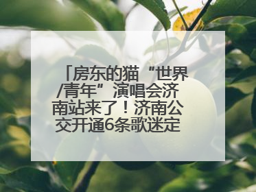 房东的猫“世界/青年”演唱会济南站来了！济南公交开通6条歌迷定制专线