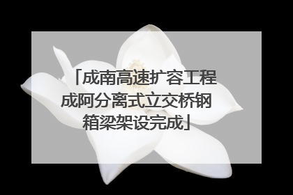 成南高速扩容工程成阿分离式立交桥钢箱梁架设完成