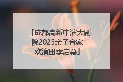 成都高新中演大剧院2025亲子合家欢演出季启幕