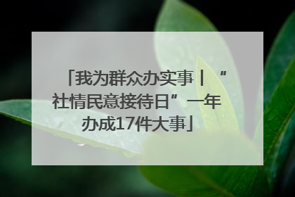 我为群众办实事丨“社情民意接待日”一年办成17件大事