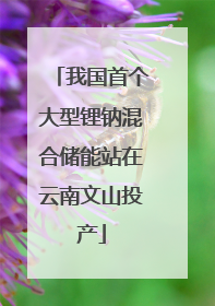 我国首个大型锂钠混合储能站在云南文山投产