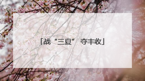战“三夏” 夺丰收