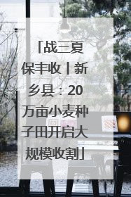 战三夏 保丰收丨新乡县：20万亩小麦种子田开启大规模收割