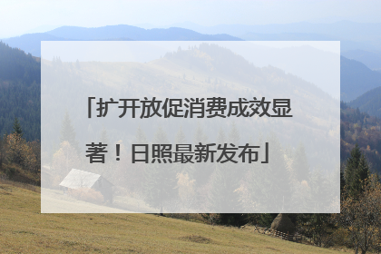 扩开放促消费成效显著！日照最新发布