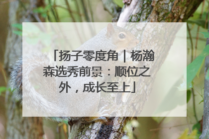 扬子零度角｜杨瀚森选秀前景：顺位之外，成长至上