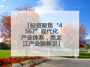 投资聚焦“4567”现代化产业体系，黑龙江产业换新景
