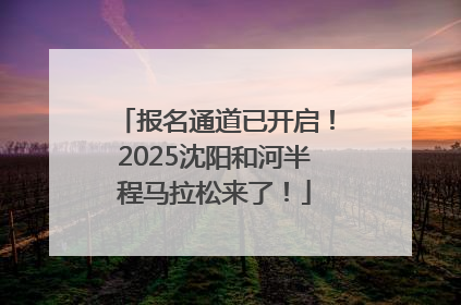 报名通道已开启！2025沈阳和河半程马拉松来了！