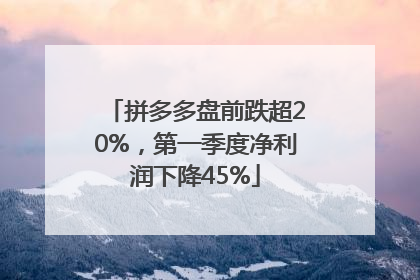 拼多多盘前跌超20%，第一季度净利润下降45%