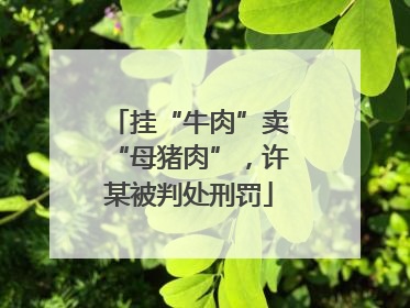 挂“牛肉”卖“母猪肉”，许某被判处刑罚