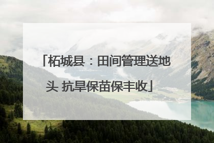 柘城县：田间管理送地头 抗旱保苗保丰收