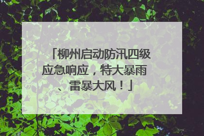 柳州启动防汛四级应急响应，特大暴雨、雷暴大风！