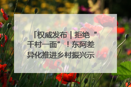 权威发布｜拒绝“千村一面”！东阿差异化推进乡村振兴示范片区建设