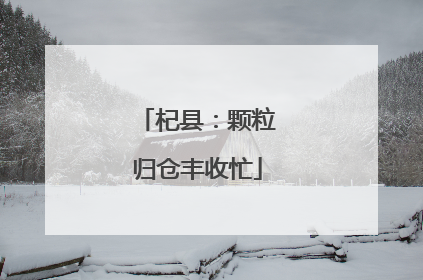 杞县：颗粒归仓丰收忙