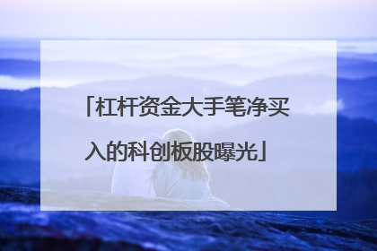 杠杆资金大手笔净买入的科创板股曝光