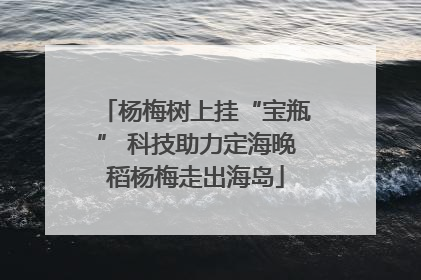 杨梅树上挂“宝瓶” 科技助力定海晚稻杨梅走出海岛