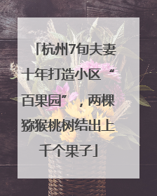 杭州7旬夫妻十年打造小区“百果园”，两棵猕猴桃树结出上千个果子