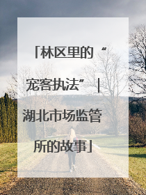 林区里的“宠客执法”｜湖北市场监管所的故事