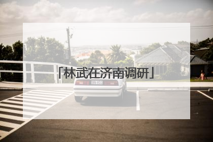 林武在济南调研