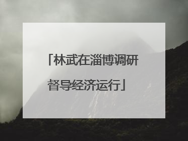 林武在淄博调研督导经济运行