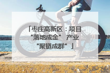 枣庄高新区：项目“落地成金” 产业“聚链成群”