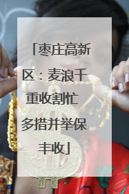 枣庄高新区：麦浪千重收割忙 多措并举保丰收