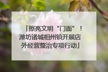 擦亮文明“门面”！潍坊诸城相州镇开展店外经营整治专项行动