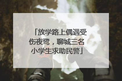 放学路上偶遇受伤夜鹭，聊城三名小学生求助民警