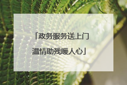 政务服务送上门 温情助残暖人心
