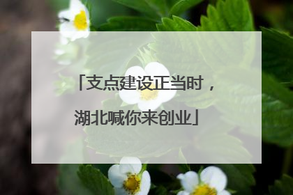 支点建设正当时，湖北喊你来创业