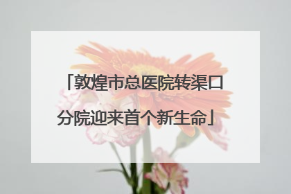 敦煌市总医院转渠口分院迎来首个新生命