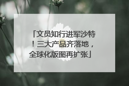 文员知行进军沙特！三大产品齐落地，全球化版图再扩张