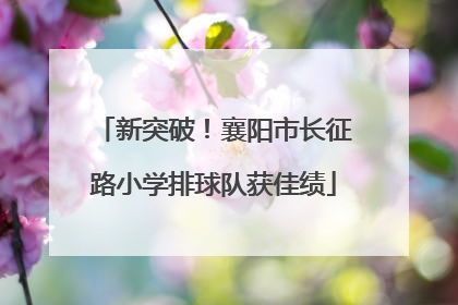 新突破！襄阳市长征路小学排球队获佳绩