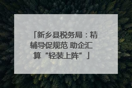 新乡县税务局：精辅导促规范 助企汇算“轻装上阵”