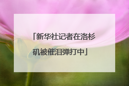 新华社记者在洛杉矶被催泪弹打中