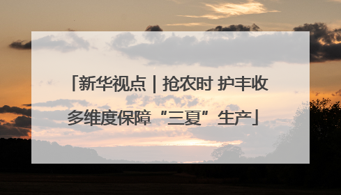新华视点｜抢农时 护丰收 多维度保障“三夏”生产