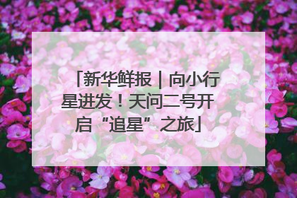 新华鲜报｜向小行星进发！天问二号开启“追星”之旅
