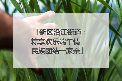 新区沿江街道：粽享欢乐端午情 民族团结一家亲