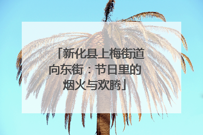 新化县上梅街道向东街：节日里的烟火与欢腾