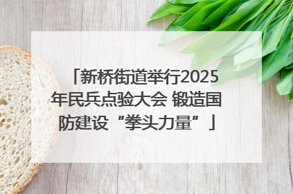 新桥街道举行2025年民兵点验大会 锻造国防建设“拳头力量”