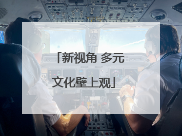 新视角 多元文化壁上观