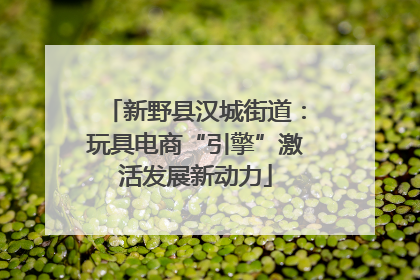新野县汉城街道：玩具电商“引擎”激活发展新动力