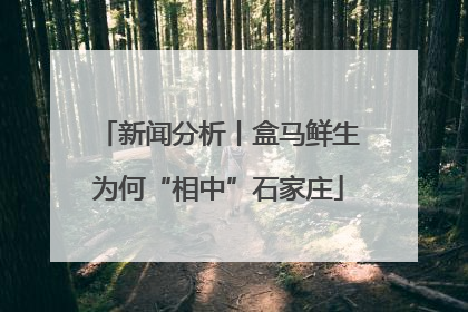 新闻分析丨盒马鲜生为何“相中”石家庄