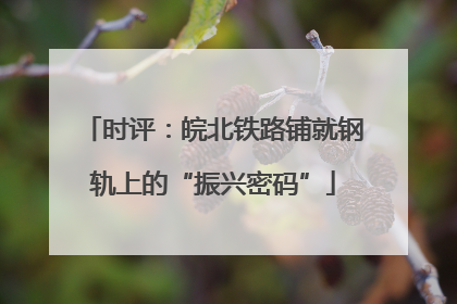 时评：皖北铁路铺就钢轨上的“振兴密码”