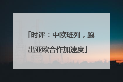 时评：中欧班列，跑出亚欧合作加速度