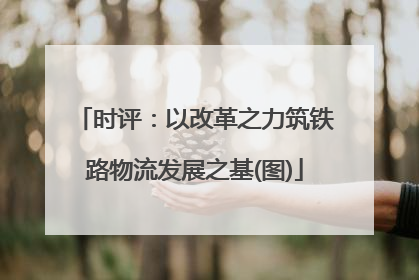 时评：以改革之力筑铁路物流发展之基(图)