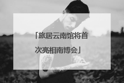 旅居云南馆将首次亮相南博会
