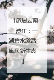 旅居云南｜澄江：一湖碧水激活旅居新生态