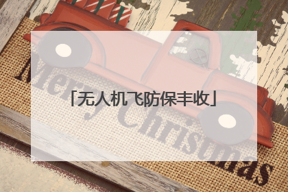 无人机飞防保丰收
